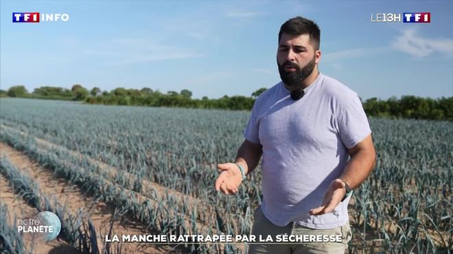 La Manche rattrapée par la sécheresse