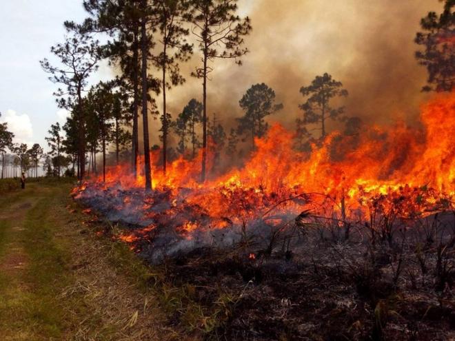 Feux incontrôlables, évacuations massives : l’Espagne face à son pire été