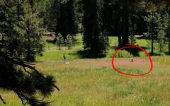 « Des actes irresponsables et alarmants » : un randonneur consterné par sa découverte dans un parc national protégé