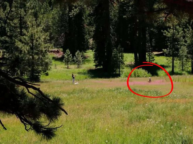 « Des actes irresponsables et alarmants » : un randonneur consterné par sa découverte dans un parc national protégé
