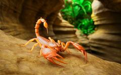 « On dirait des monstres vivants » : quatre créatures surgies des grottes coréennes bouleversent la science et ridiculisent les experts sceptiques