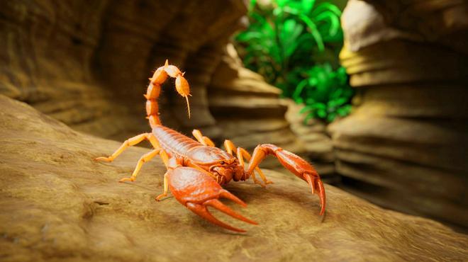 « On dirait des monstres vivants » : quatre créatures surgies des grottes coréennes bouleversent la science et ridiculisent les experts sceptiques