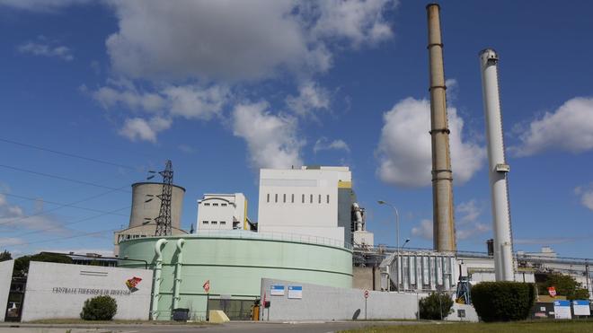 Feu vert pour l’exploitation forestière de la centrale de Gardanne