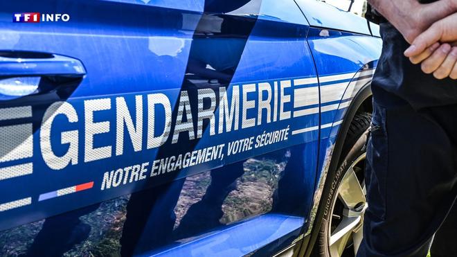 Ille-et-Vilaine : un corps en partie calciné découvert près de Vitré