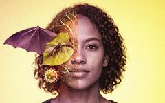 One Health : pourquoi cette approche prend soudain une importance capitale