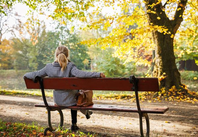 Carrière : faire son introspection grâce à l’arbre de vie