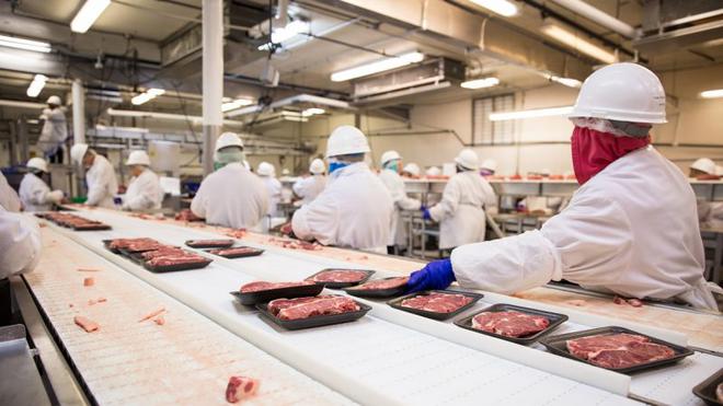 Allemagne. Nouvelle loi en vue pour la filière viande