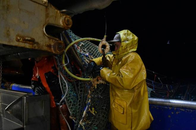 Pêche/UE: quotas post-Brexit reconduits, réduction en Méditerranée