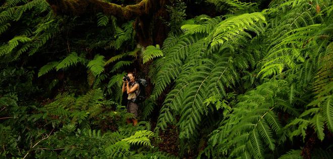 Les touristes restent les bienvenus à Tenerife