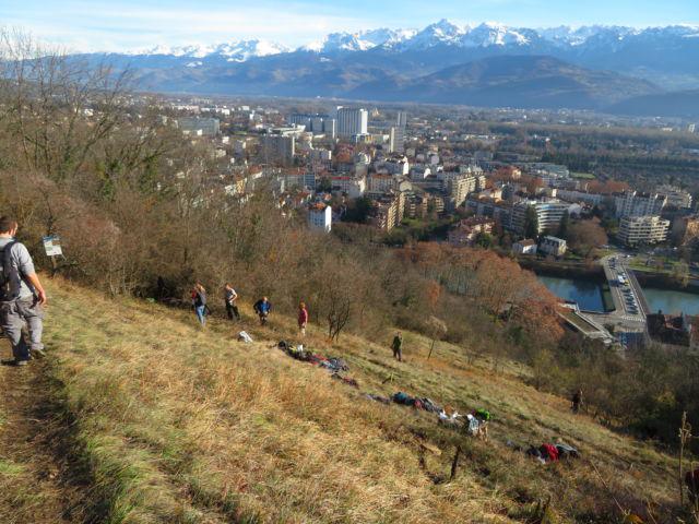 Grenoble : des volontaires mis à contribution pour préserver la biodiversité de la Bastille