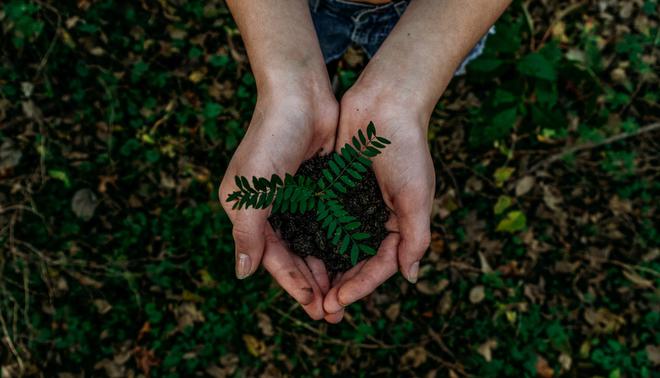 Référendum sur le climat : quels bénéfices/risques ?