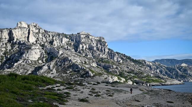 Biodiversité : Les parcs nationaux demandent à Macron de « mettre fin » à la baisse de leurs moyens