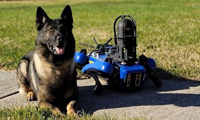 Le célèbre NYPD embauche un robot-chien de Boston Dynamics