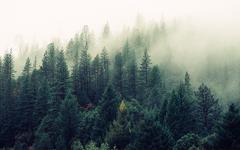 Pays de la Vallée de l’Agly/ Latour-de-France : les enfants plantent des arbres