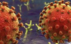EN DIRECT - Coronavirus - La France a comptabilisé 21.634 nouveaux cas de contamination au Covid-19 au cours des dernières 24 heures mais le taux de positivité est en baisse