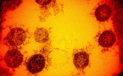Coronavirus : premier cas en France de la nouvelle souche apparue au Royaume-Uni