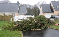 La tempête Bella a fait des dégâts à Lanvollon, le Trieux monte à Pontrieux