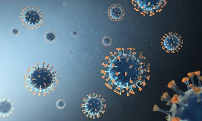 L’histoire des coronavirus, de 1930 à aujourd’hui