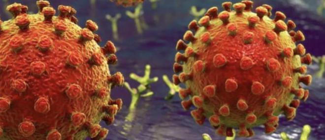 EN DIRECT - Coronavirus: Un premier cas du variant britannique en Roumanie - 1.325 décès ont été enregistrés en 24 heures au Royaume-Uni - Il s'agit d'un record depuis le début de la pandémie