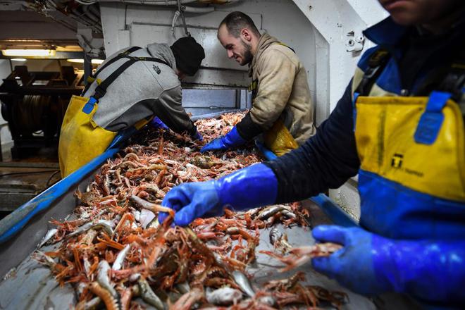 Brexit: malgré l’accord sur la pêche, l’inquiétude demeure dans les bateaux français