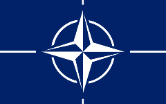 L’OTAN: rôle, mutations et perspectives d’une organisation en crise