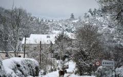 La tempête de neige Filomena frappe l'Espagne