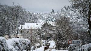 La tempête de neige Filomena frappe l'Espagne
