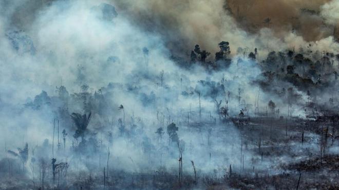 ÉCOLOGIE, LE LIVE - 2020, 2e année la plus destructrice pour l'Amazonie après 2019