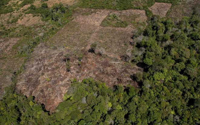 Déforestation : 43 millions d’hectares sont partis en fumée en 13 ans
