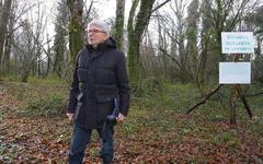 En Gironde, sa forêt est préservée pour un siècle