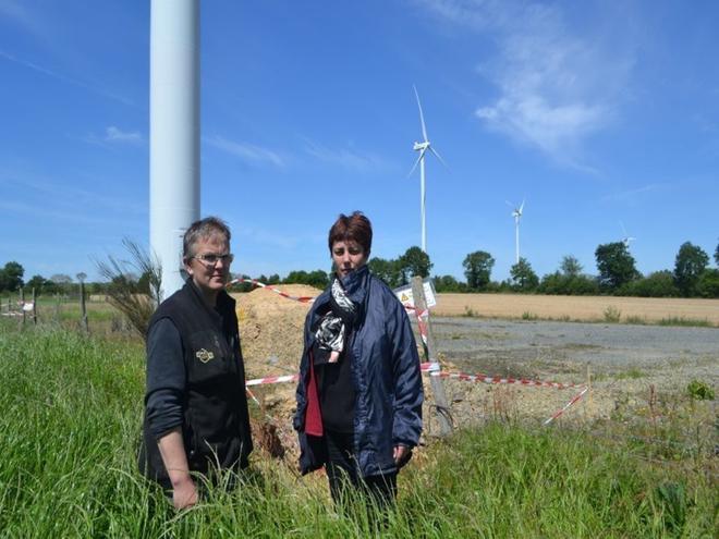 Éoliennes « tueuses » à Nozay : l’agricultrice Céline Bouvet attaque quatre ministres en justice