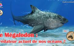 [CONF] Le Mégalodon : prédateur actuel de nos océans ? (v. 2021)