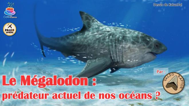 [CONF] Le Mégalodon : prédateur actuel de nos océans ? (v. 2021)