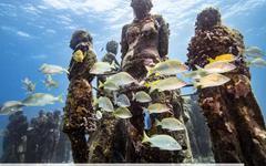 Cannes : découvrez les sculptures sous-marines de Jason deCaires, "l'un des rares musées ouverts en France"
