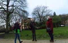 Hauts-de-Seine : à Châtenay-Malabry, les amis des arbres défendent le patrimoine de la Butte-Rouge