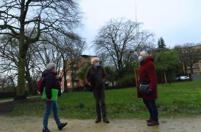 Hauts-de-Seine : à Châtenay-Malabry, les amis des arbres défendent le patrimoine de la Butte-Rouge