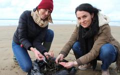 Sur les plages du Finistère, l’invasion des microplastiques