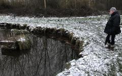 À Tergnier, les berges de l’étang des Écrouillères disparaissent avec l’érosion