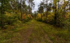 Coupe de printemps sur le causse Noir