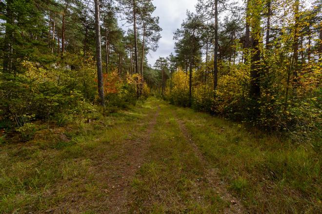 Coupe de printemps sur le causse Noir