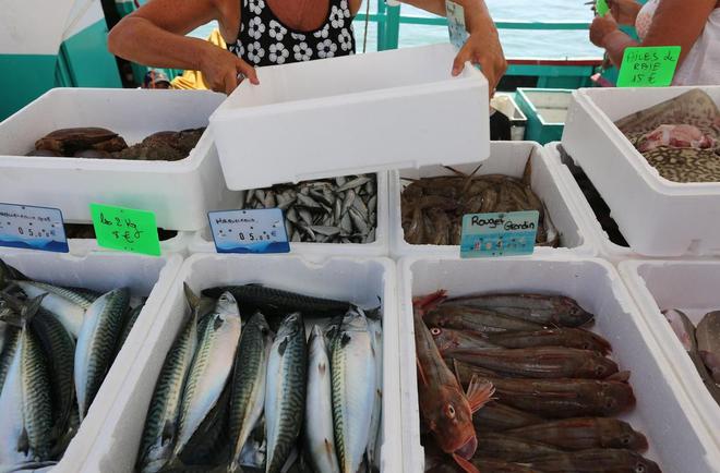 Thon, baudroie ou sardine, sachez quels poissons manger… pour les sauver !