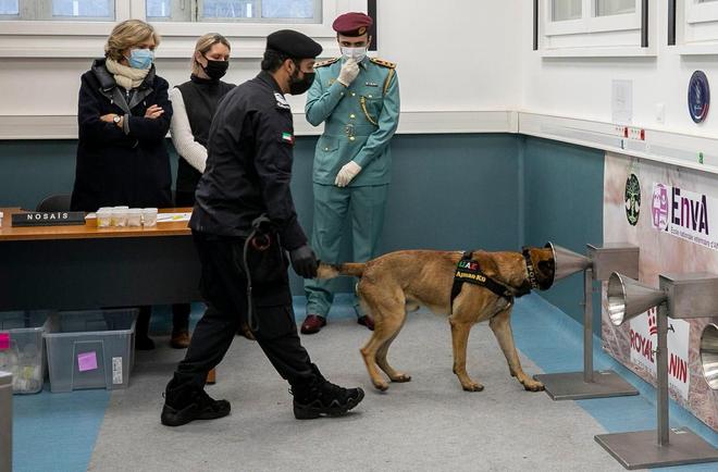 Coup d’accélérateur pour le déploiement des chiens dépisteurs du Covid en Ile-de-France