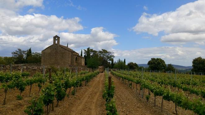Minervois : le combat des vignerons du cru La Livinière contre un projet éolien