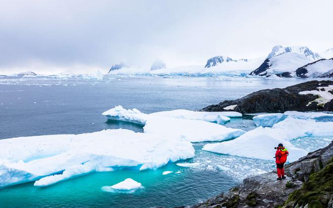 Des formes de vie découvertes par hasard en Antarctique