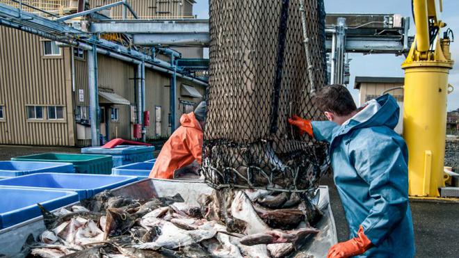 Quotas de pêche: l’UE « confiante » concernant un accord d’ici fin mars avec Londres