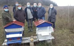 Les abeilles noyonnaises prolifèrent au Mont Saint-Siméon