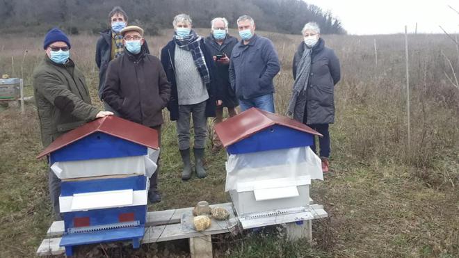 Les abeilles noyonnaises prolifèrent au Mont Saint-Siméon
