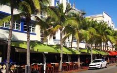 Pour lutter contre le réchauffement climatique, la ville de Miami annonce qu'elle va renoncer progressivement aux palmiers emblématiques de la ville !
