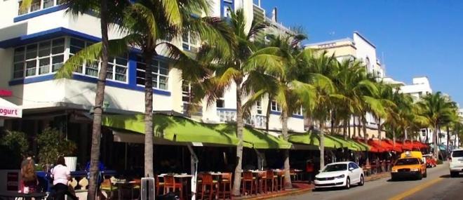 Pour lutter contre le réchauffement climatique, la ville de Miami annonce qu'elle va renoncer progressivement aux palmiers emblématiques de la ville !