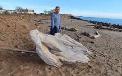 Dans l’Hérault, les filets de la dernière chance pour sauver les plages